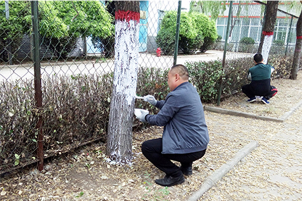科海集團“美化環境保護樹木”活動紀實